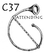 Contabile 37 Adult Attending