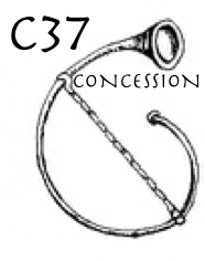 Contabile 37 Concession Attending